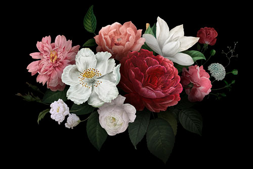 وکتور لایه باز گل دسته گل به همراه برگ با زمینه مشکی